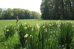 Hochsommer Eller Schloßpark