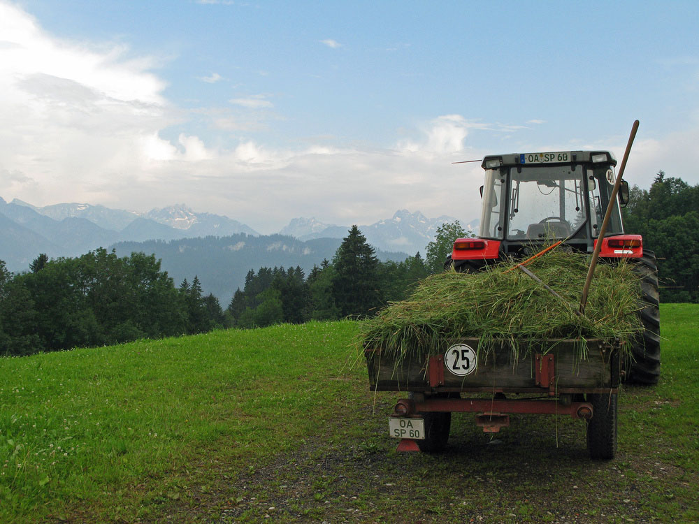 Hochsommer