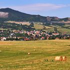 Hochsommer fortgeschritten gestern im Böhmischen Mittelgebirge