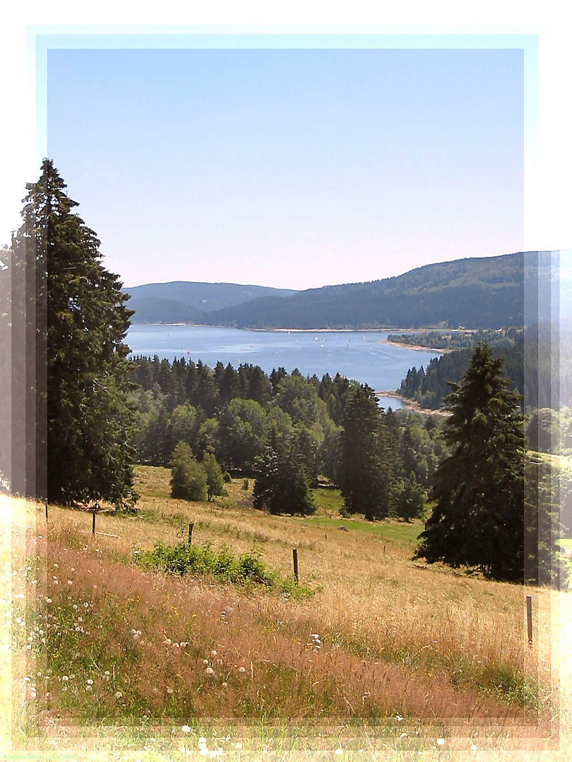 Hochsommer im Hochschwarzwald, Blick zum Schluchsee