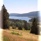 Hochsommer im Hochschwarzwald, Blick zum Schluchsee