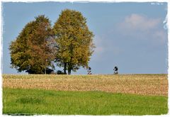 Hochsommer im Oktober