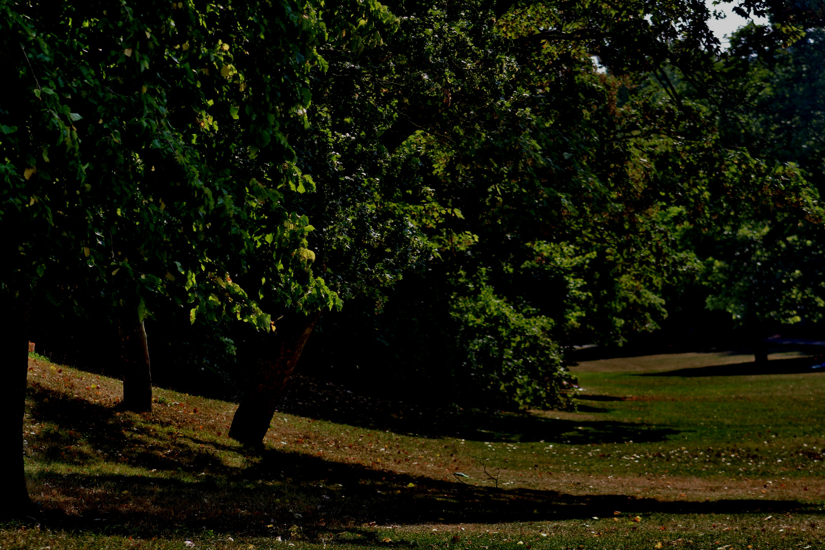 HOCHSOMMER IM PARK