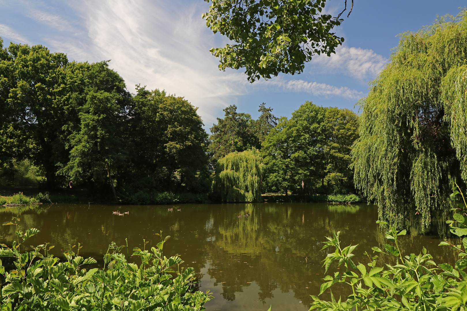 Hochsommer im Park