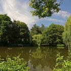 Hochsommer im Park