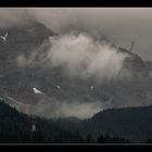 "Hochsommer" in den Alpen