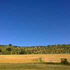 Hochsommer in der Eifel 2016