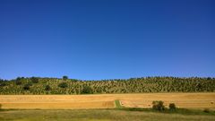 Hochsommer in der Eifel 2016