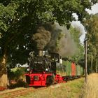 Hochsommer in der Prignitz