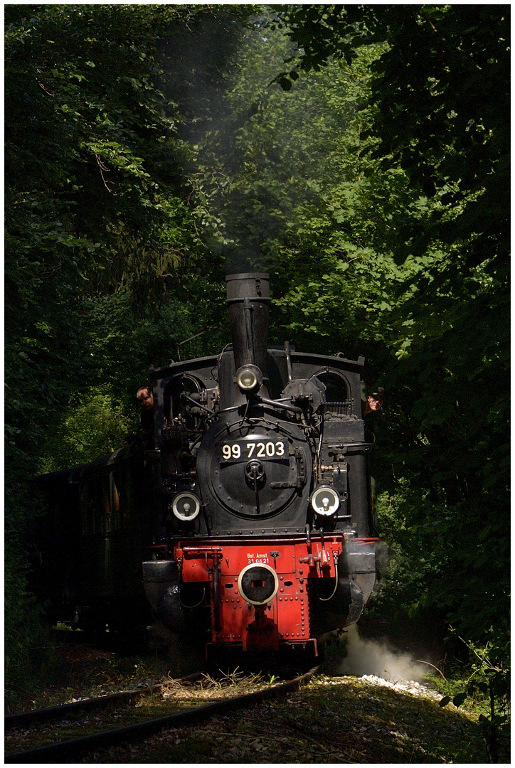 Hochsommer in Deutschland III