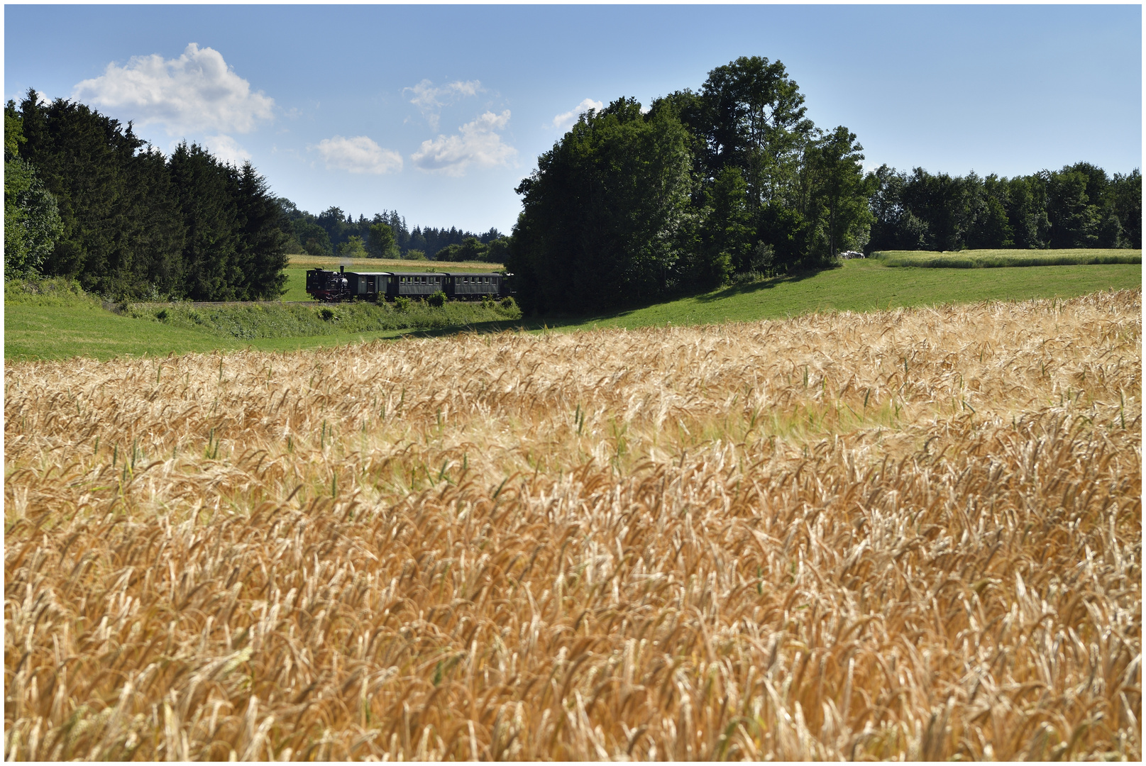 Hochsommer in Deutschland IV