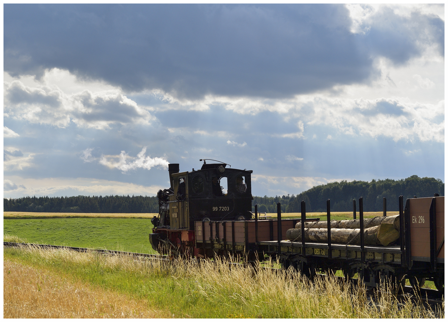 Hochsommer in Deutschland XVII