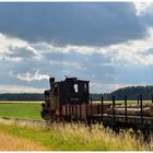 Hochsommer in Deutschland XVII