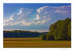 Hochsommer in Norddeutschland (2)