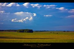 Hochsommer in Norddeutschland