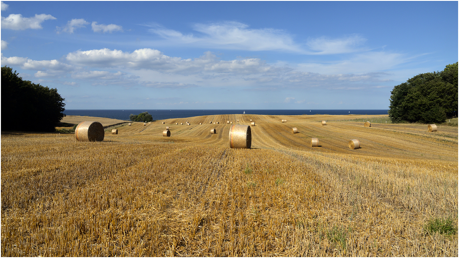 Hochsommer in Schleswig-Holstein