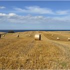 Hochsommer in Schleswig-Holstein