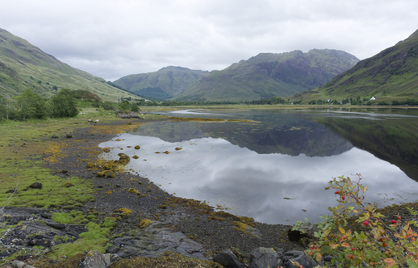 Hochsommer in Scotland