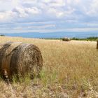 Hochsommer in Süd-Frankreich