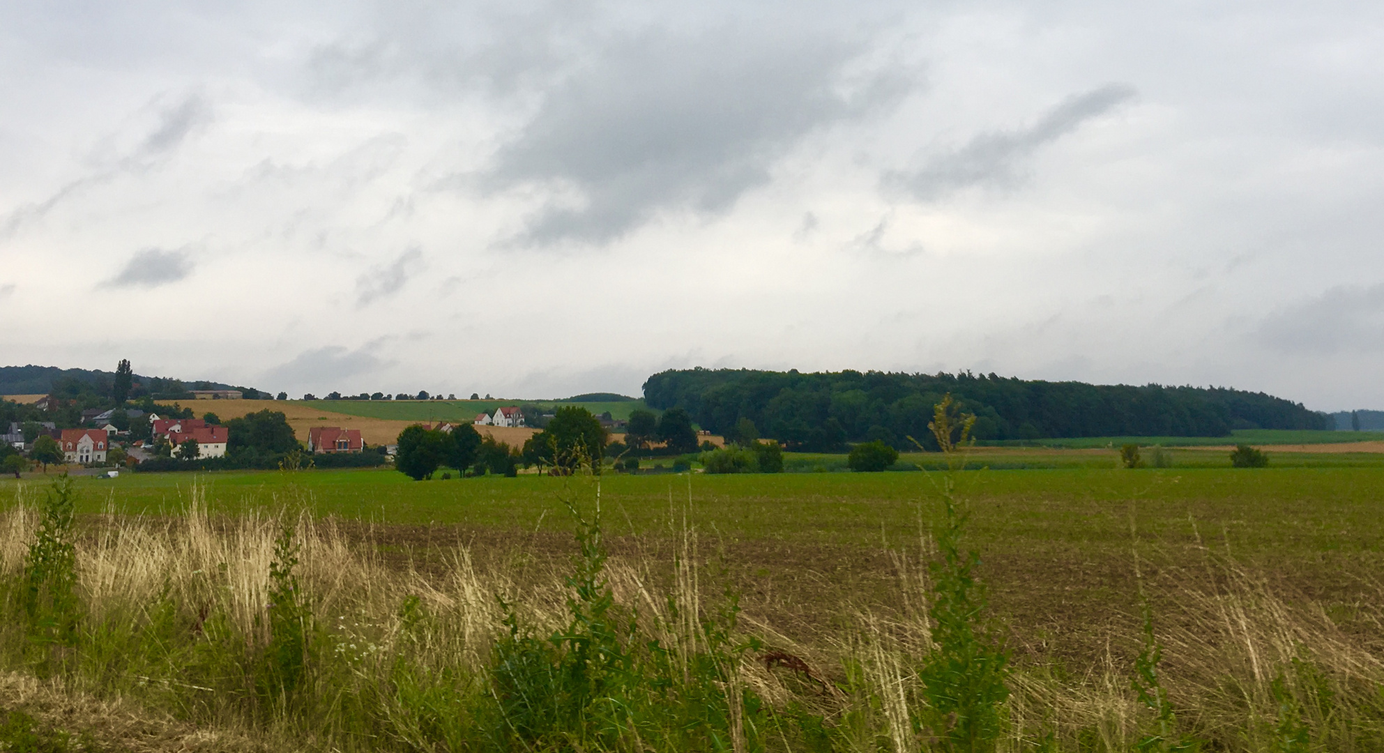 Hochsommer Landschaften 