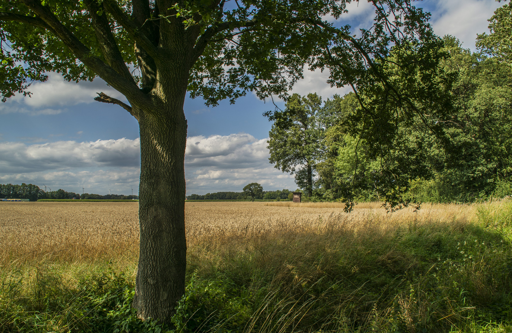 Hochsommerimpression