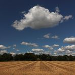 Hochsommerlandschaft