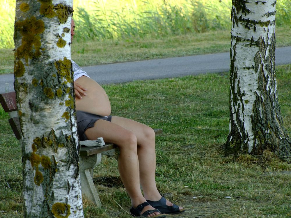 Hochsommerlicher Mittagsschlaf von Georg Weißenberger 