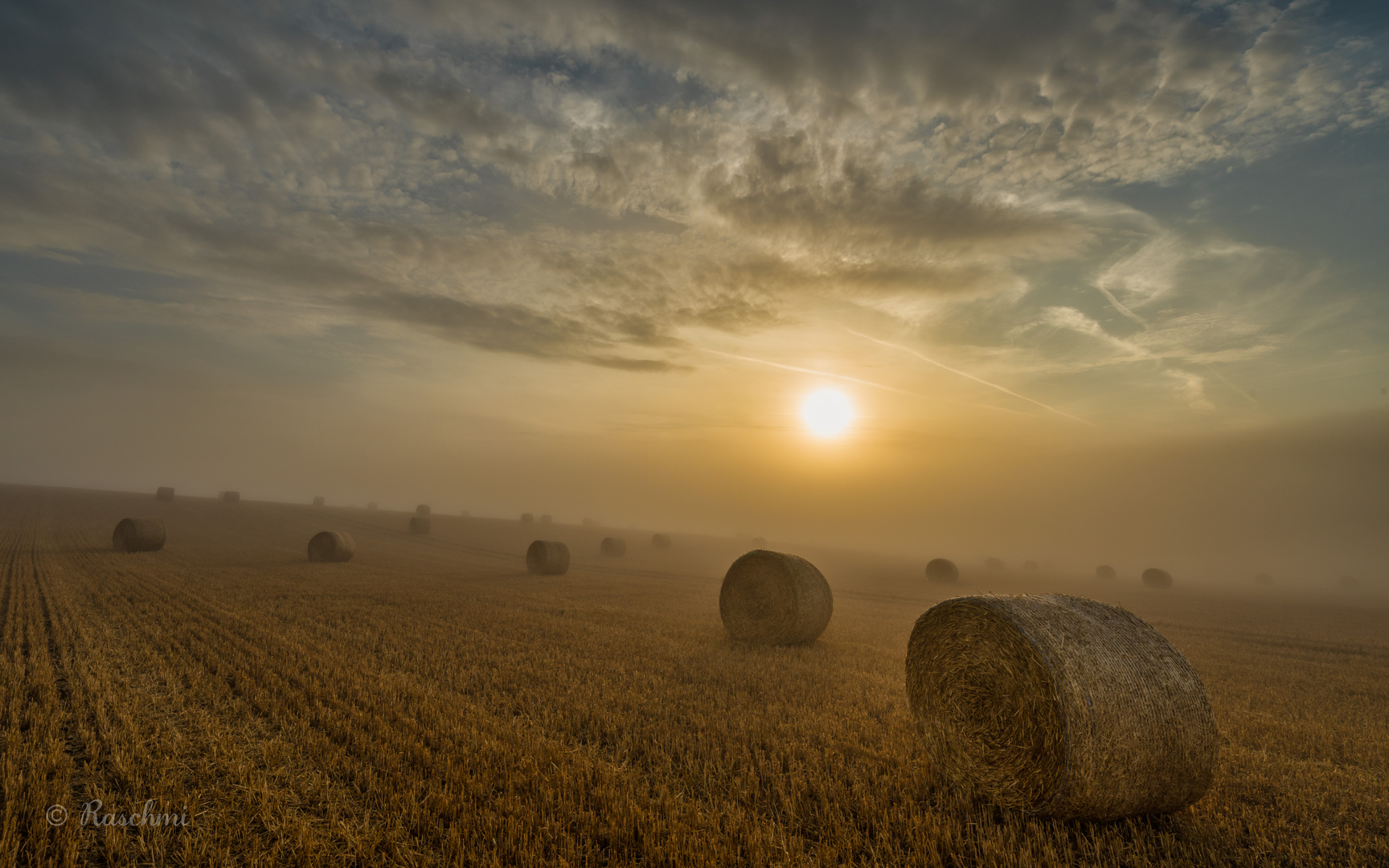 HOCHSOMMERMORGEN