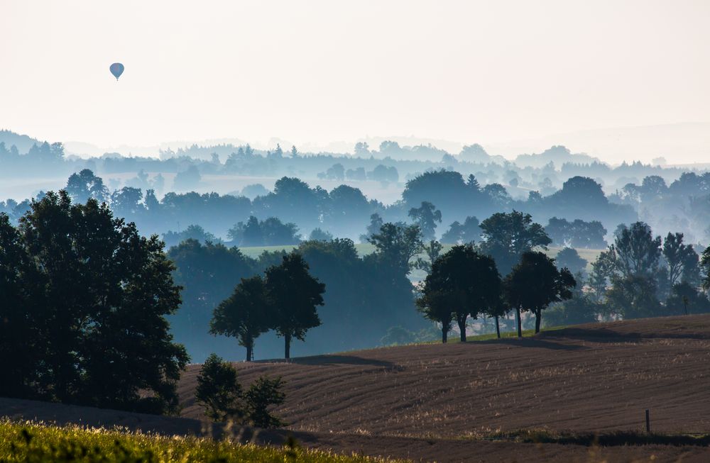 Hochsommermorgen im Hausruckviertel / Oberösterreich