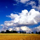 Hochsommernachmittag im Lauenburgischen