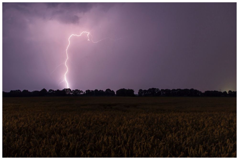 Hochspannung im Münsterland I