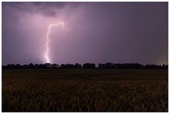 Hochspannung im Münsterland I