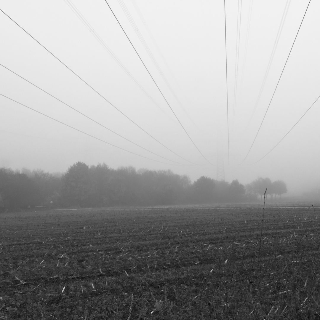 Hochspannung im Nebel