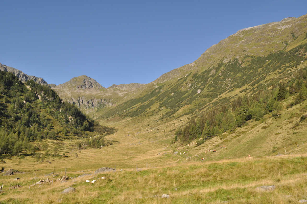 Hochsstubofen 2.385 Meter hoch Wölzer Tauern