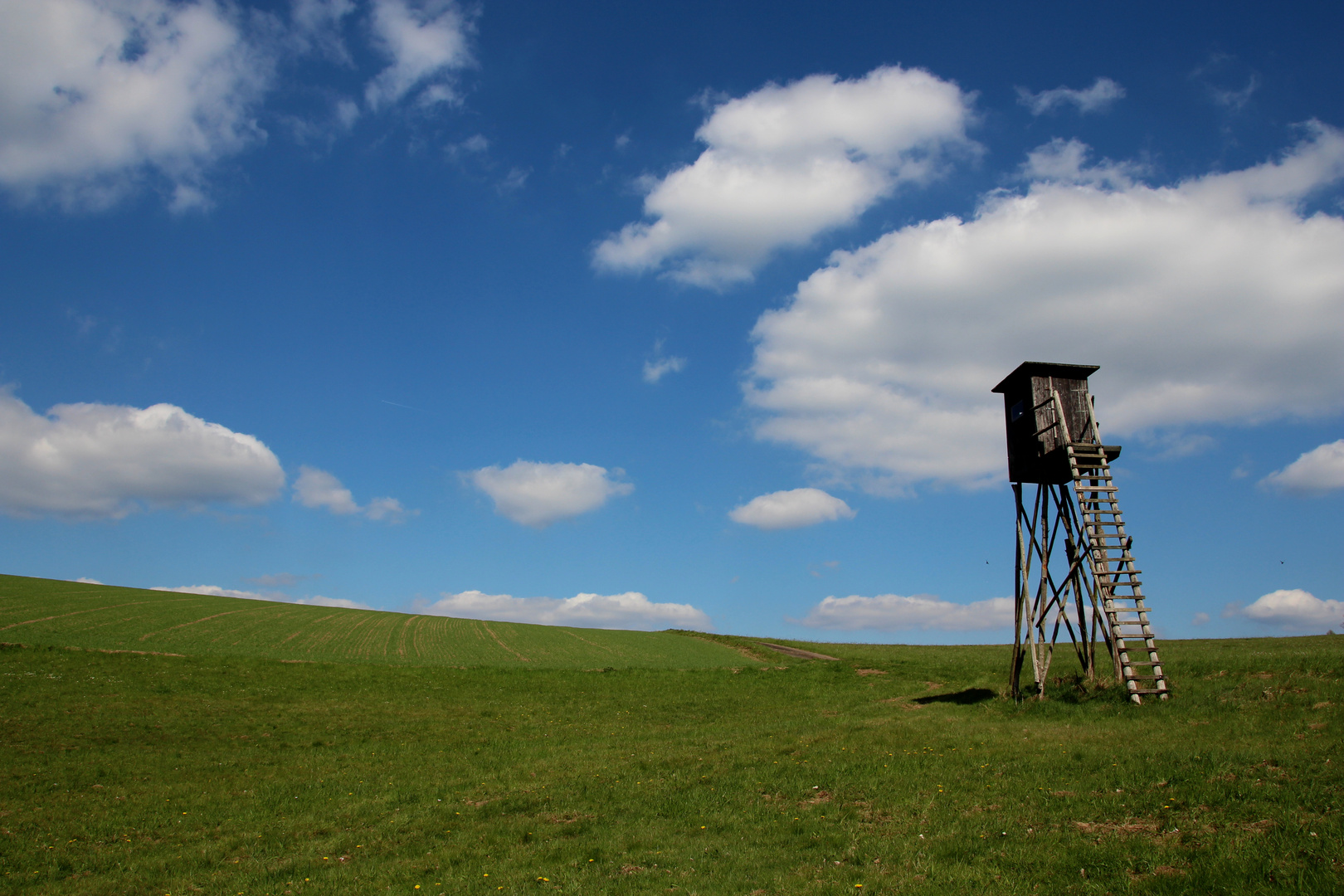 Hochstand