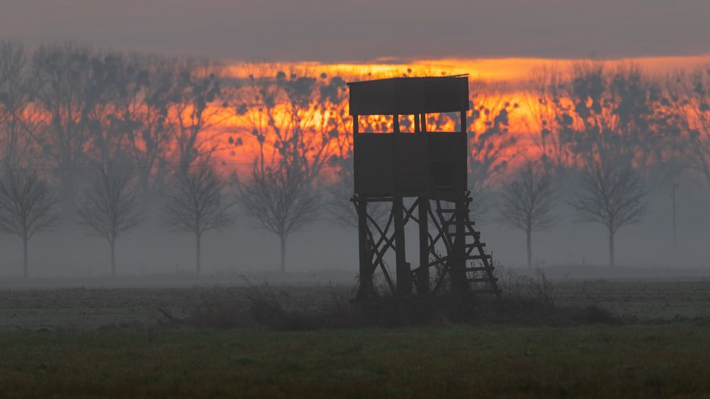 Hochstand