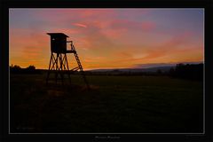 Hochstand am Abend