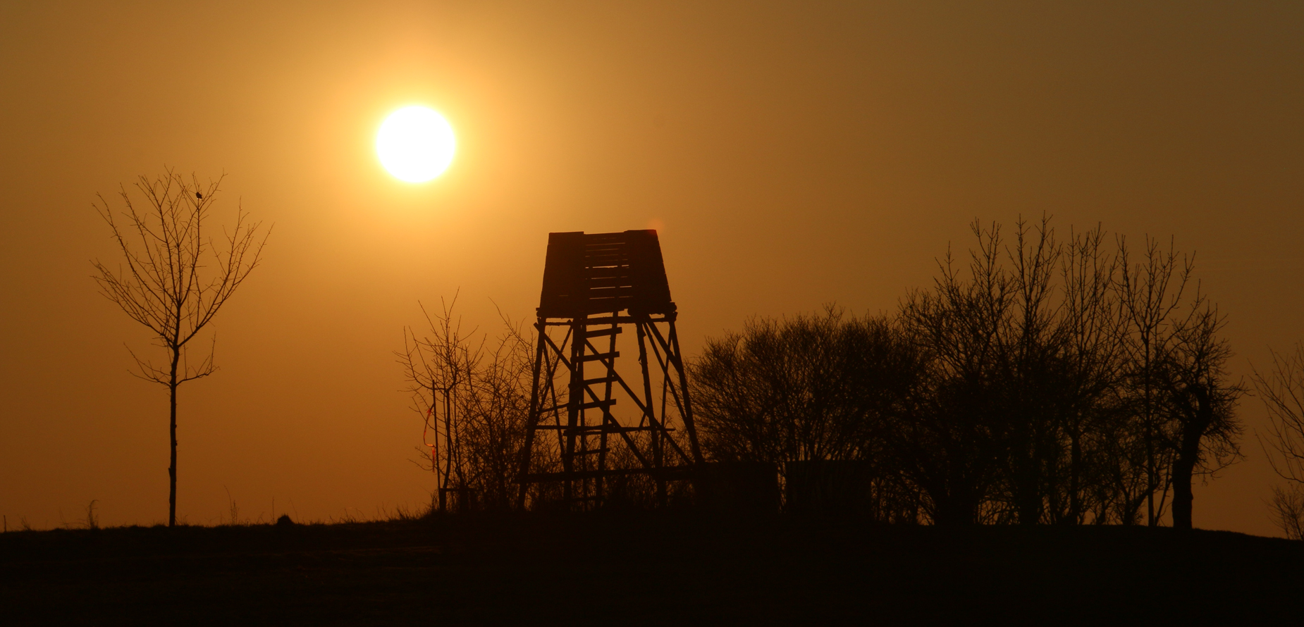 Hochstand am Abend