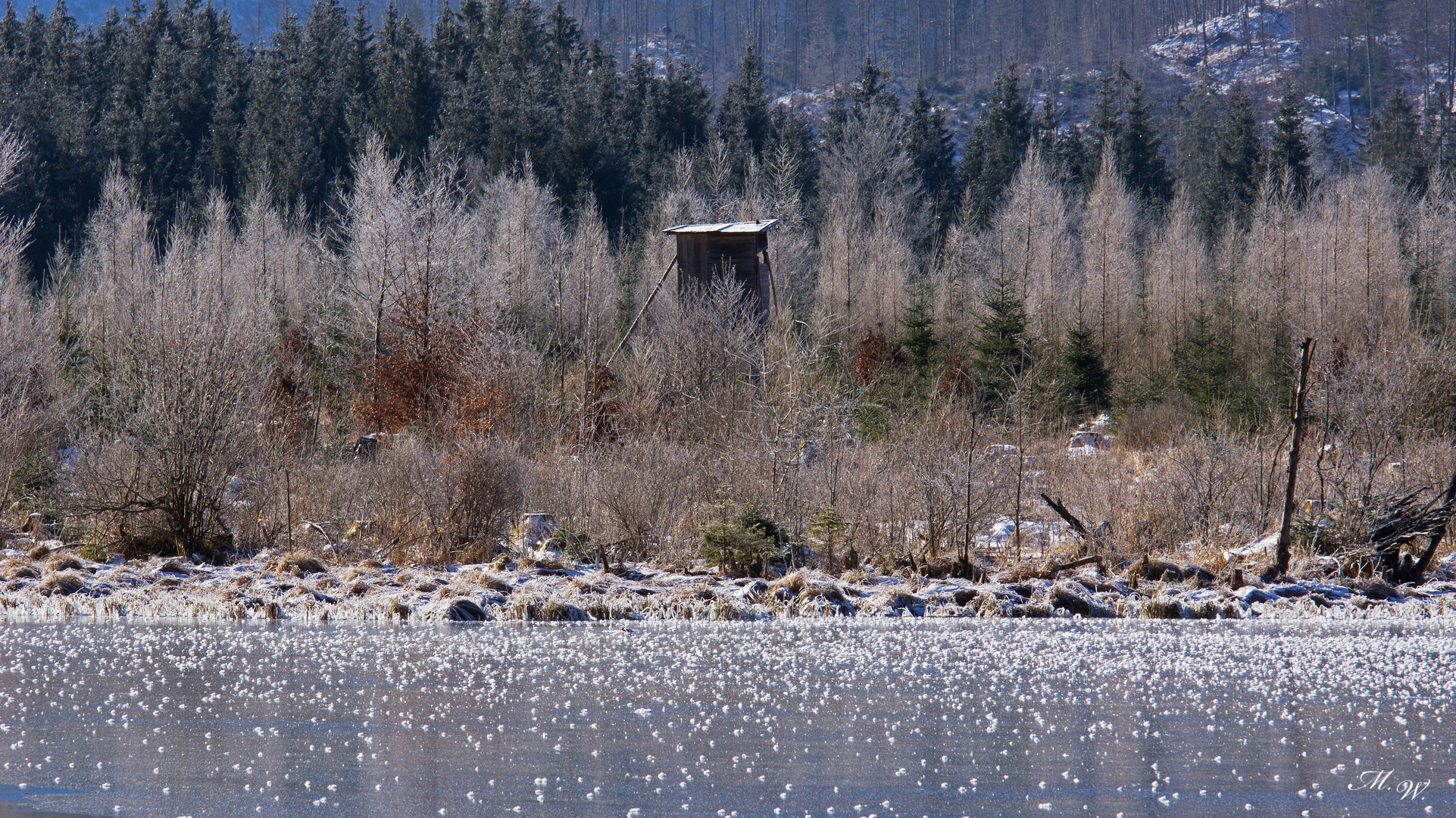 Hochstand am See