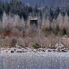 Hochstand am See