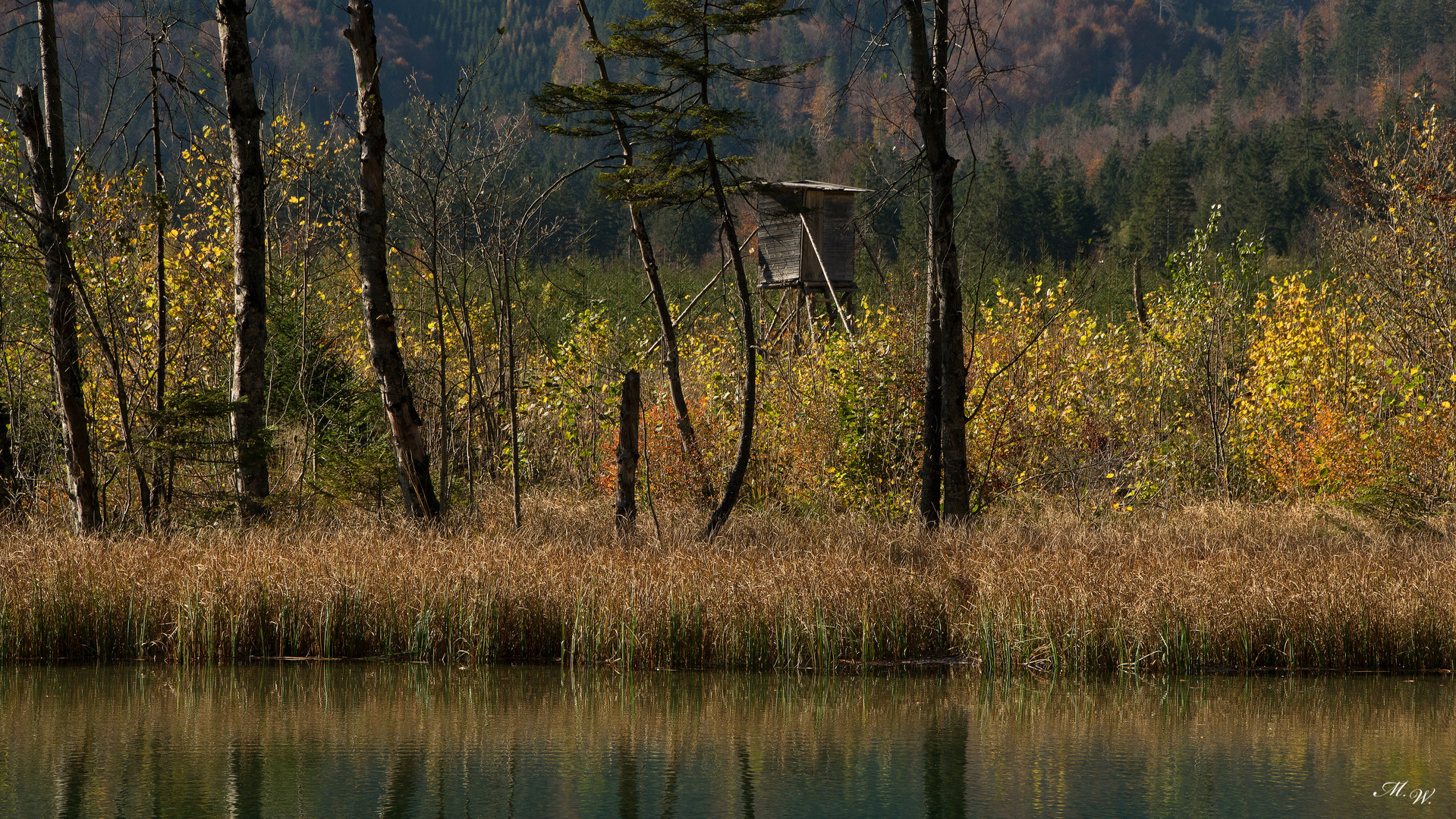 Hochstand am See