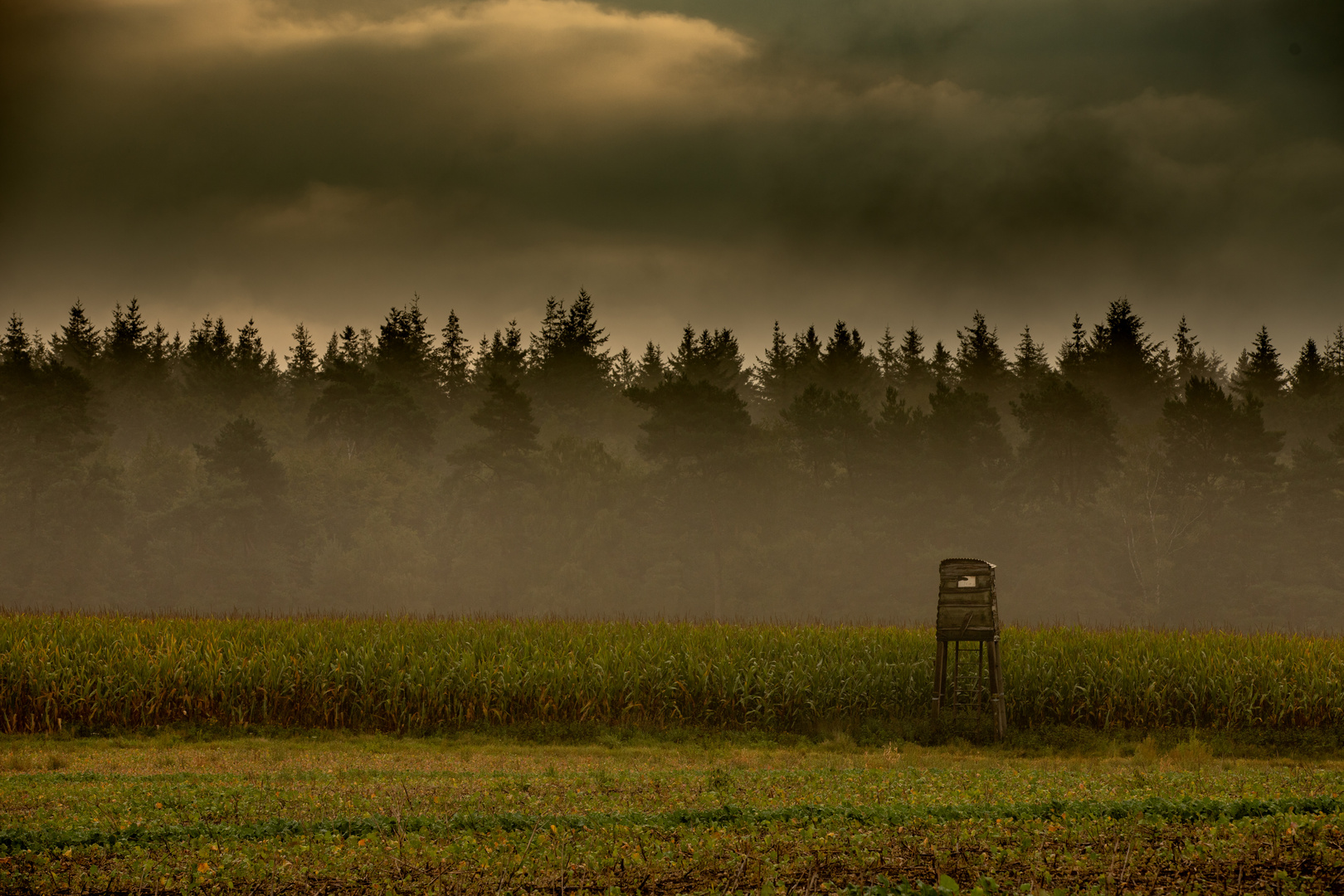 Hochstand bei Nebel