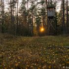 Hochstand bei Sonnenuntergang