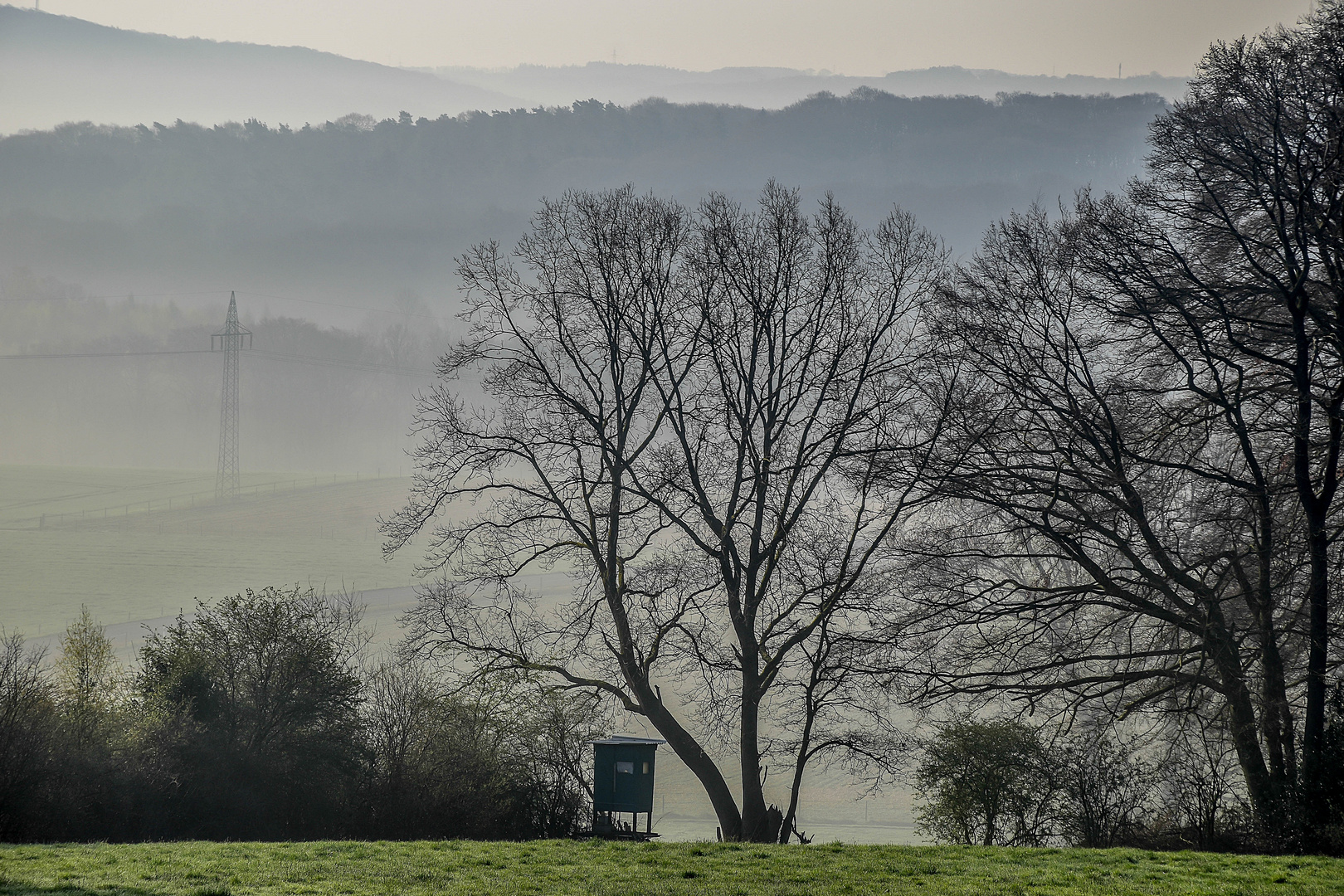 Hochstand