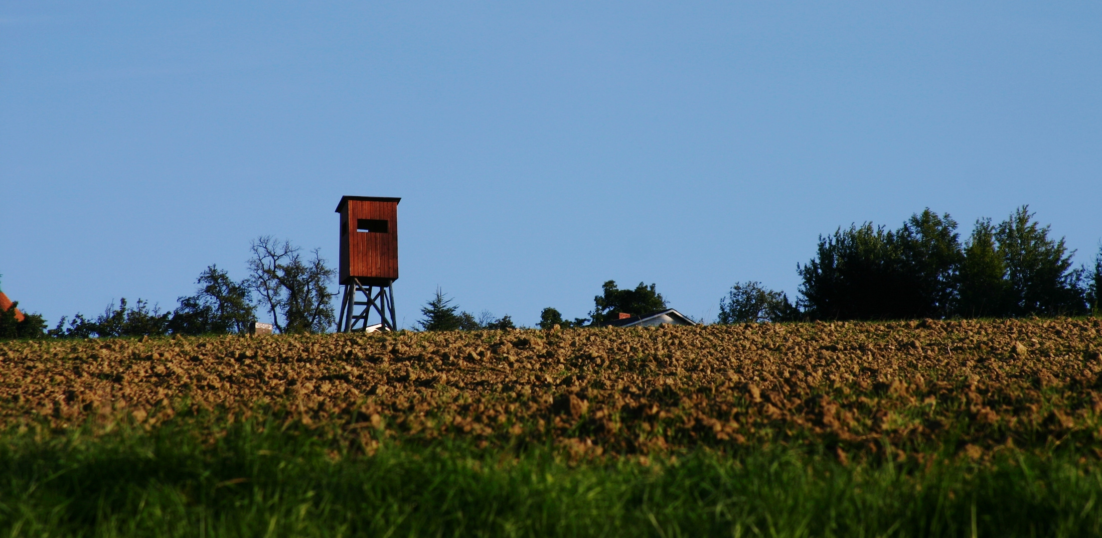 Hochstand