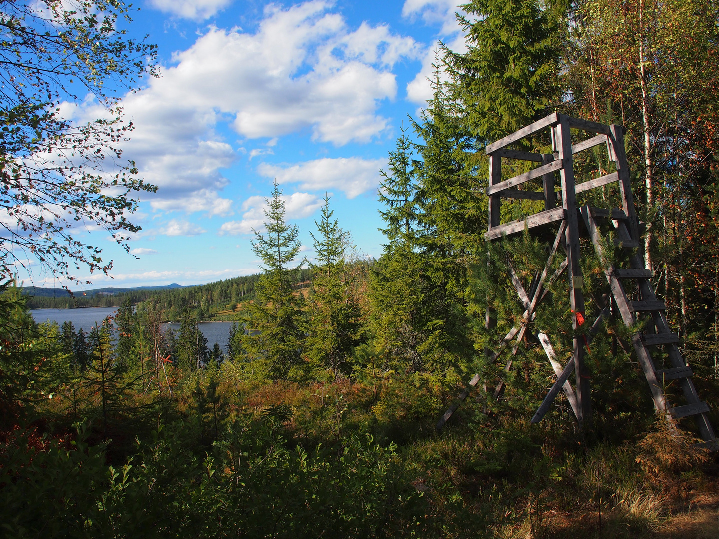 Hochstand