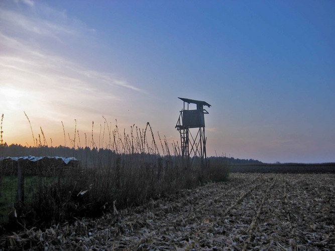 Hochstand im Sonnenuntergang