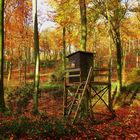 Hochstand im Wald