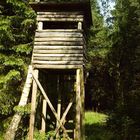 Hochstand im Wald von Handewitt