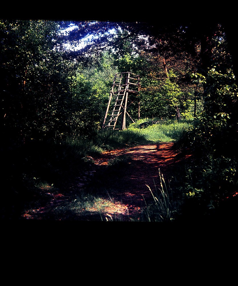 Hochstand in Blockheide